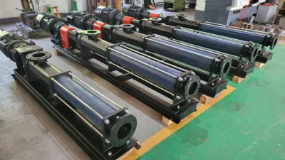 Progressing Cavity Pump for Transporting Media with Solids